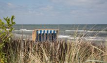 Backbord
