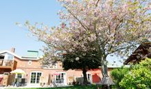 ole Backstuv - Bauernhof "Hofbude Fehmarn"