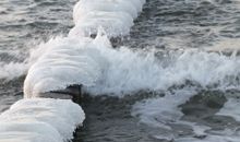 reetgedecktes FH am Deich 2/2