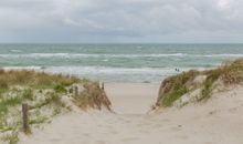 reetgedecktes FH am Deich 2/2