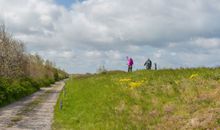 reetgedecktes FH am Deich 2/2