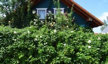 Urlaubswerft Dock 13 | Ihr stilvolles Erholungsparadies