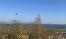 Fewo Strandbrise