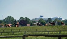 Lagunenstadt am Haff Fewo 157 - Haffblick