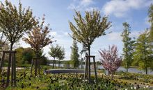 Camping und Ferienpark Wulfener Hals