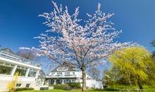 Am Doberaner Platz Pension