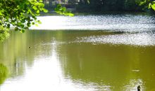 Carmina am See