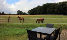 Oase Friedensthal