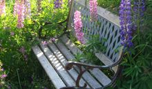Achtern Wieck Pension