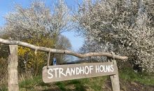 Strandhof Holnis