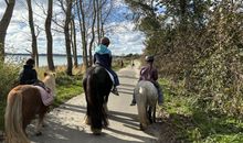 Strandhof Holnis