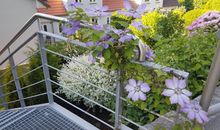 Ferienwohnung Frieda