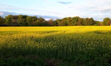 Das blaue Häuschen
