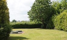 Seeschwalbe
