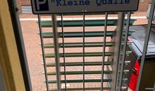 Kleine Qualle