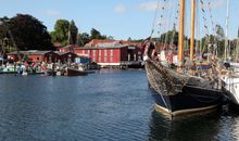 Kleine Qualle