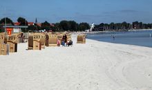 Kleine Qualle