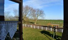 Moin Moin (Whg. 4)