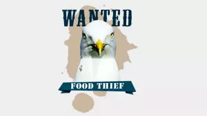 Wanted – Food Thief Wanted – Food Thief