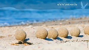 Hintergrundbild: Sandkunst an der Ostsee