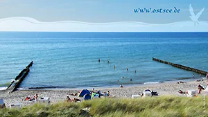 Hintergrundbild: Sommer in Ahrenshoop an der Ostsee