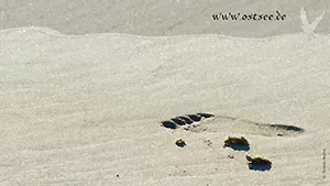 Hintergrundbild: Fußspur im Sand