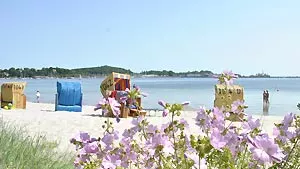 Eckernförder Strand Strand Eckernförde
