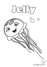 Qualle Jelly
