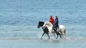 Reiten am Strand in der Nebensaison