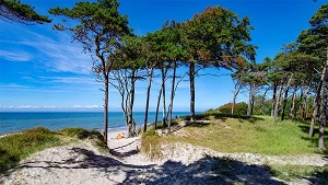 Weg aus dem Küstenwald an den Prerow Weststrand