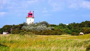 Leuchtturm Westermarkelsdorf Leuchtturm Westermarkelsdorf