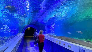 Unterwassertunnel