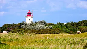 Westermarkelsdorf: Leuchtfeuer wandert von Leuchtturm zu Leuchtturm