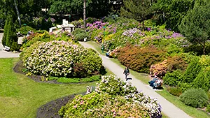 Rhododendronpark Graal-Müritz | weitere Informationen anzeigen