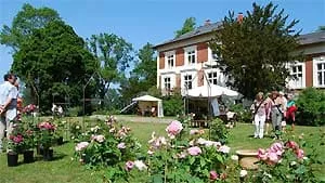 Rosenpark Groß Siemen | weitere Informationen anzeigen Rosenpark Groß Siemen | weitere Informationen anzeigen