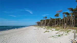 Weststrand Fischland/Darß/Zingst | weitere Informationen anzeigen